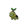 Dark Turtwig